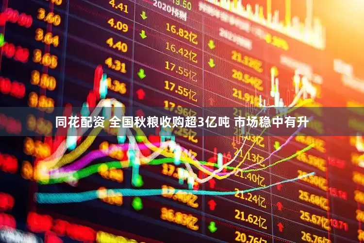 同花配资 全国秋粮收购超3亿吨 市场稳中有升